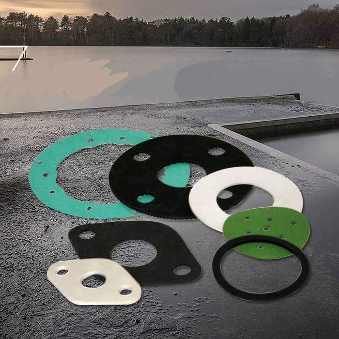 Pelbagai gasket dan skop permohonan mereka